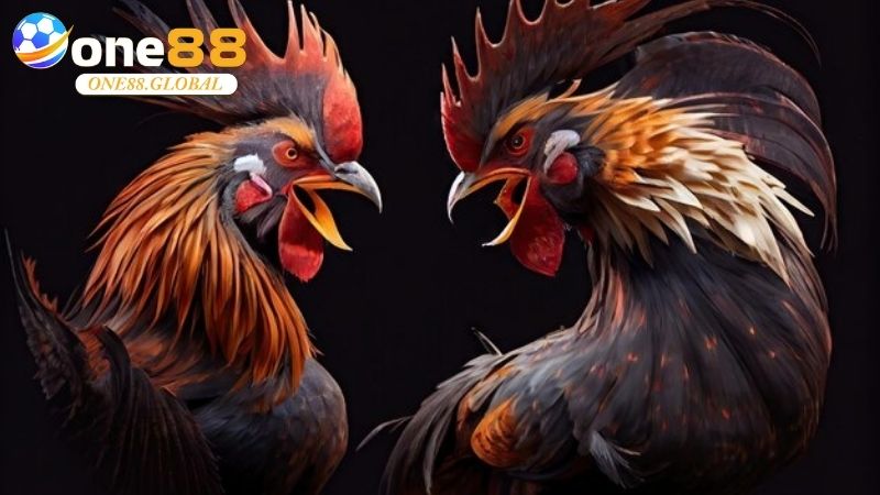 Đá Gà Cựa Sắt: Chuyên Nghiệp, Kịch Tính Và An Toàn Tại One88 2 Đá Gà Cựa Sắt