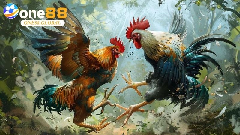 Đá Gà Philippines: Trải Nghiệm Đỉnh Cao Cá Cược Uy Tín Cùng One88 1 Đá Gà Philippines