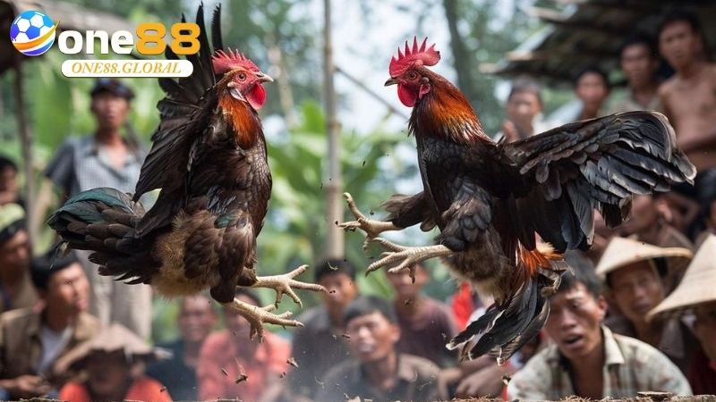 Kèo Đá Gà: Bí Quyết Chọn Kèo Chuẩn Tại One88 Cho Người Mới 3 Kèo Đá Gà